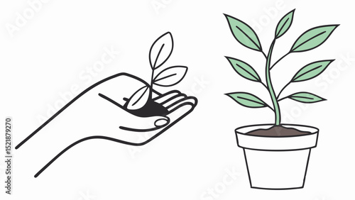 Nurturing Growth Planting a Seed and Watching it Flourish