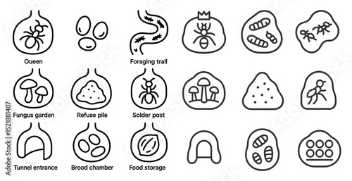 Ant colony symbols and icons for education and design purposes