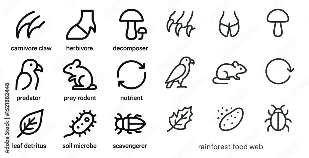 Fototapeta premium Rainforest food web icons illustrating ecosystem roles and relationships