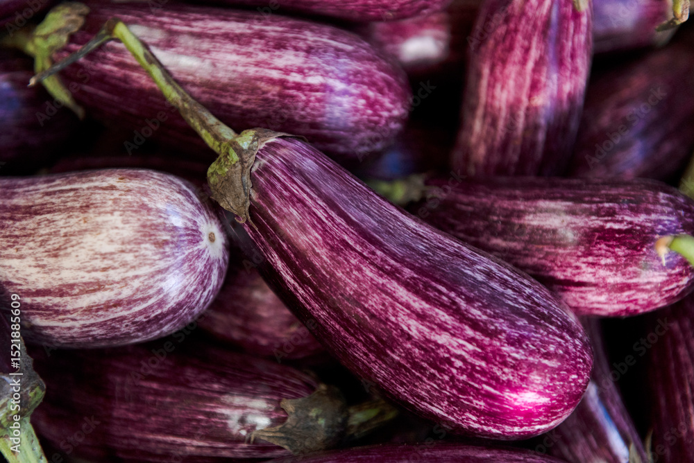 Stripped aubergine or Tiger aubergine Stripped aubergine or Tiger aubergine