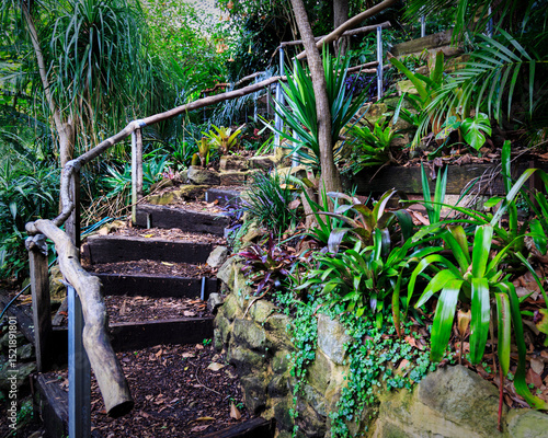Hiking path in Australia
