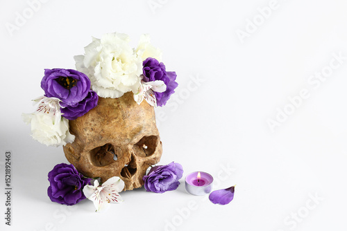 Human skull with beautiful ...