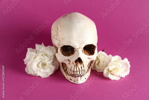 Human skull with beautiful ...