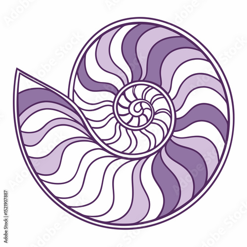 Nautilus Shell Golden Ratio Art