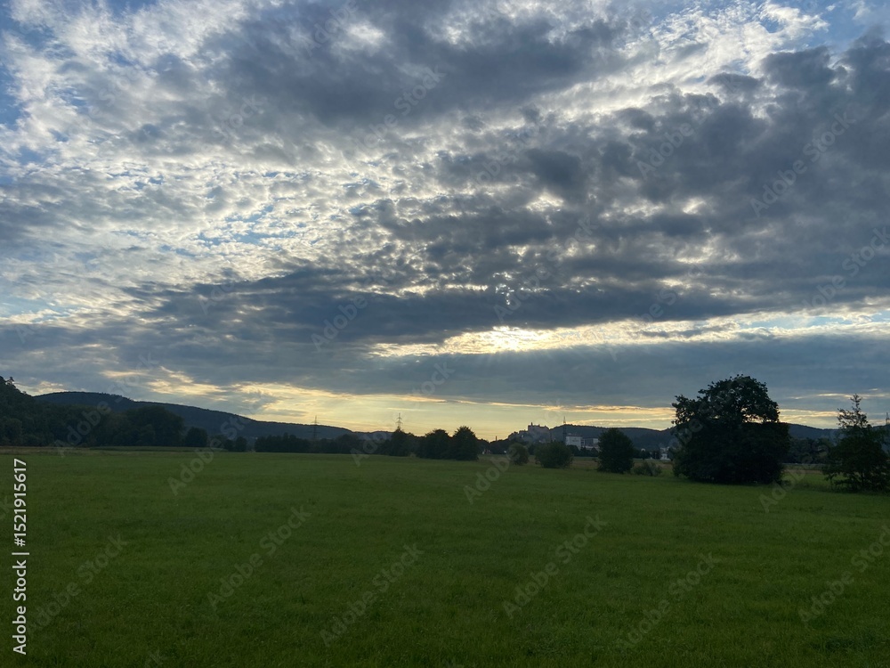 Obraz premium Morgens auf dem Feld