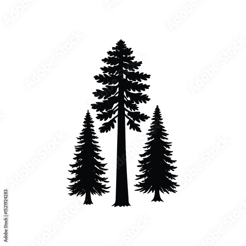 Redwood Tree Fog Vector Black and White