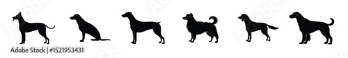 Dog Silhouette Collection , Various Black Canine Icons