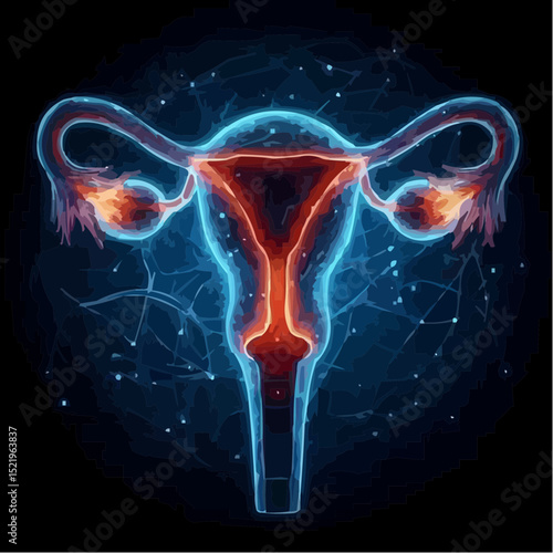 digital artistic illustration of the uterus 66