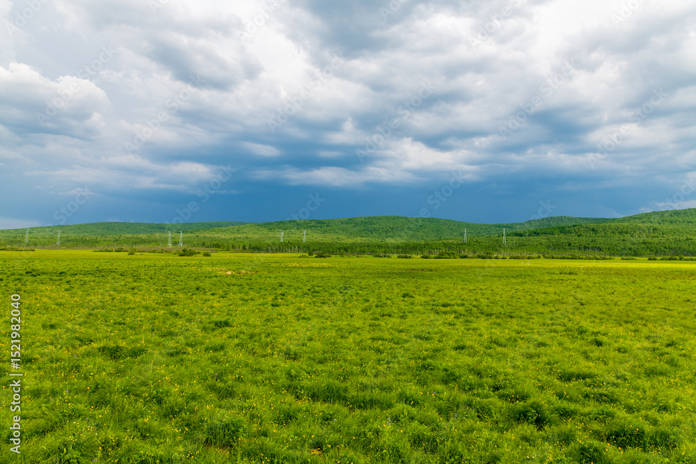 Fototapeta premium The scenery of Horonor Grassland in Hulunbuir City, Inner Mongolia Autonomous Region, China