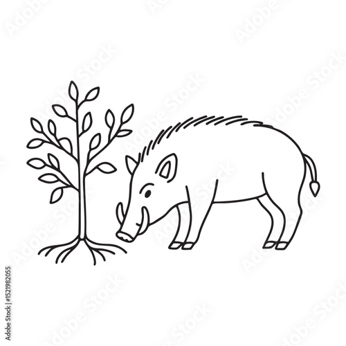 A boar sniffing the ground near tree roots with short tusks