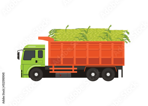 Truck carrying over loaded sugar canes. Simple flat illustration. 