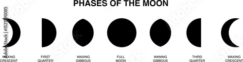 Set of moon shapes. Phases of the moon for astronomy concept. The whole cycle from new moon to full moon isolated on transparent background