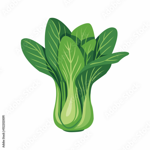 Fresh green bok choy, a healthy and versatile leafy vegetable for cooking.