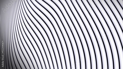 Wavy white and black lines suitable for abstract backgrounds, modern designs, digital art, prints, and minimalist graphic projects.