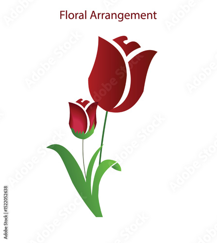 Macro shot of a blooming red tulip flower, with fine detail in the petal veins and vibrant color contrast. Suitable for floral art, home decor prints, and wellness content.
