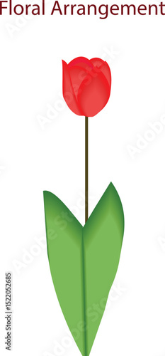 Bright red tulip flower captured in daylight, showcasing delicate petals and natural texture. Perfect for botanical themes, floral prints, springtime promotions, and garden-focused content.