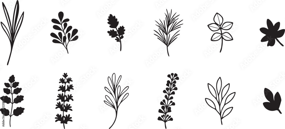 Fototapeta premium Various Herb and Leaf Drawings, Ideal for Rustic, Elegant, and Natural Designs.