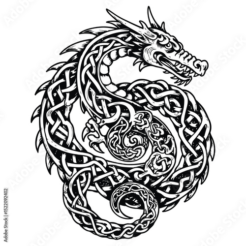 Intricate celtic dragon illustration with knotwork and detailed design in black and white for graphics