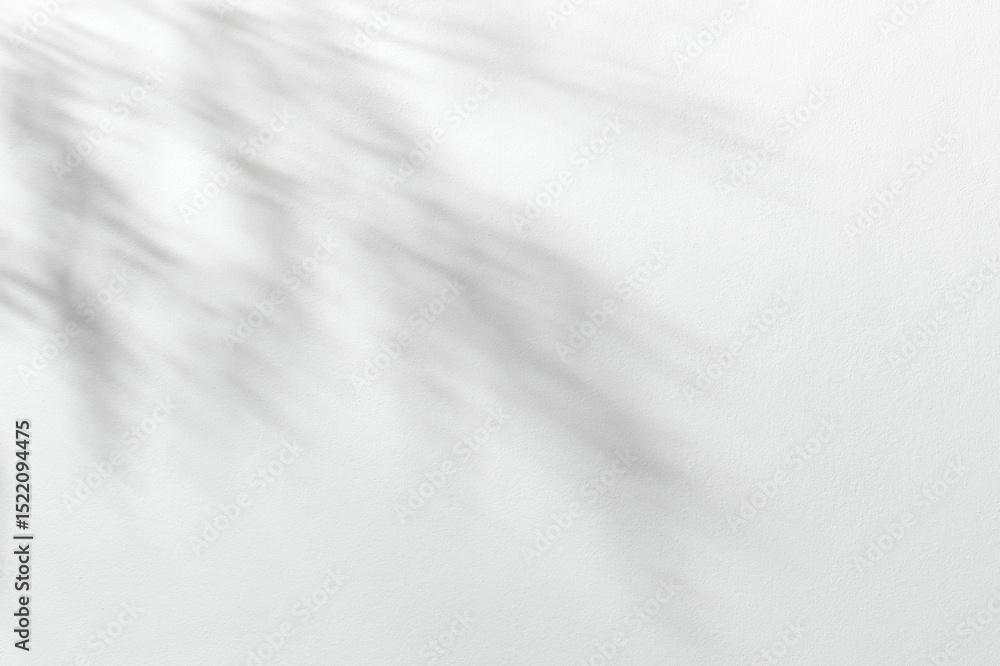 Obraz premium Minimalist spring on white background