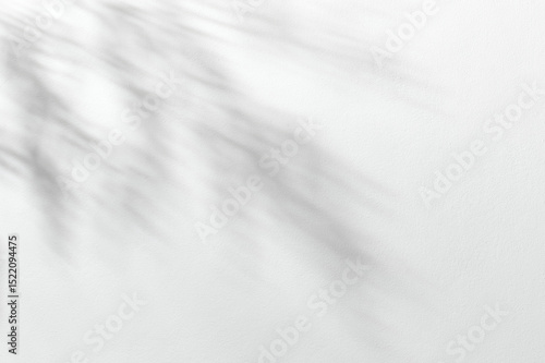 Minimalist spring on white background
