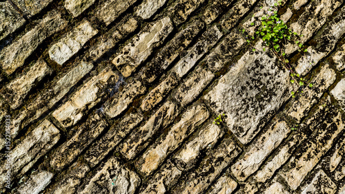 Steinwand in der Stadt Mainz