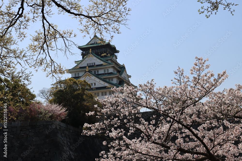 Naklejka premium Japanese castle in spring - Osaka
