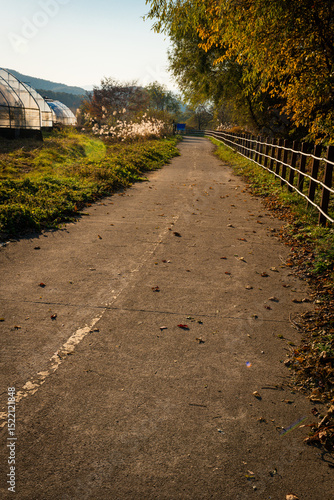 path in the autumn park
