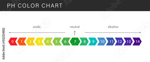 PH Scale. Gauge for acid and alkaline balance. Scale indicator for litmus paper test. Flat Vector illustration.