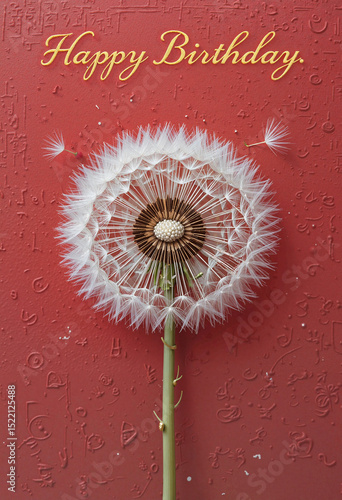 Beautiful dandelion flower with birthday greeting text on a red background