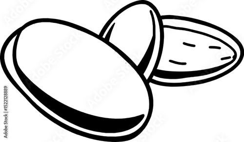Three Oblong Pale Beige Seeds On A White Plain Backdrop Hand Drawn Style Graphic Illustration