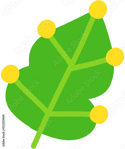 cute green leaf on white background