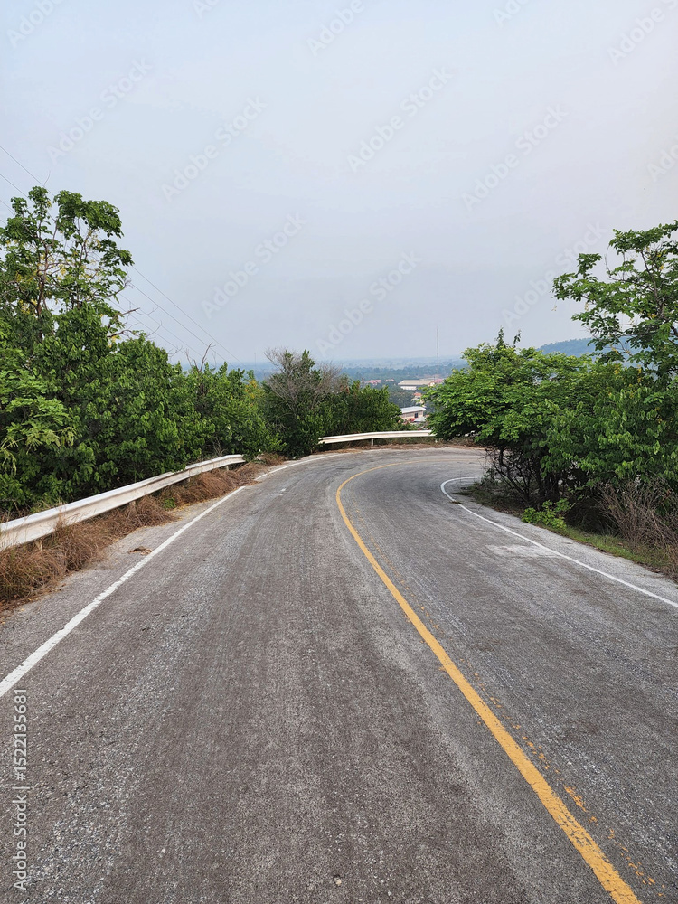 Fototapeta premium road in the forest