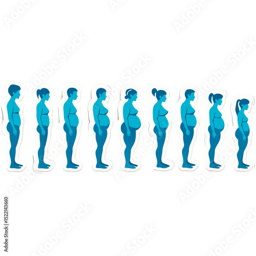 Illustration depicting a woman's pregnancy stages, showing the growth of a baby in the womb