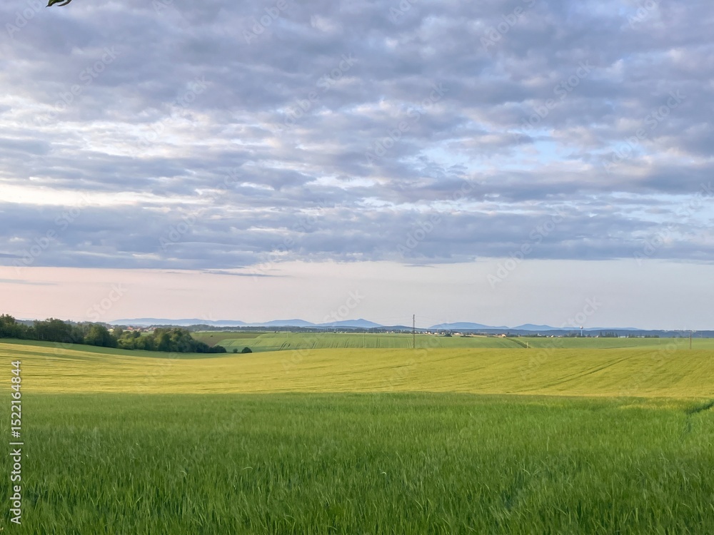 Obraz premium Panoramic morning view of the Czech countryside in the Opava region of Silesia on a sunny spring day.