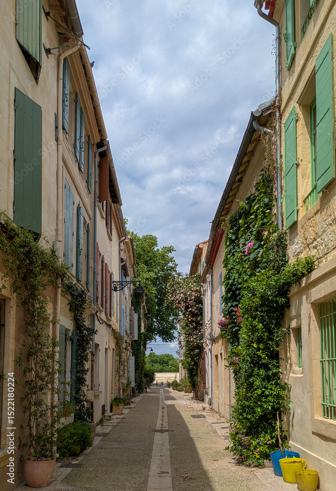 Fototapeta premium Picturesque narrow street in La Roquette, Arles, France, adorned with colorful shutters and climbing plants. Idyllic Mediterranean summer ambiance.