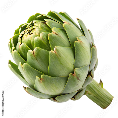 An artichoke whole isolated on a transparent background
