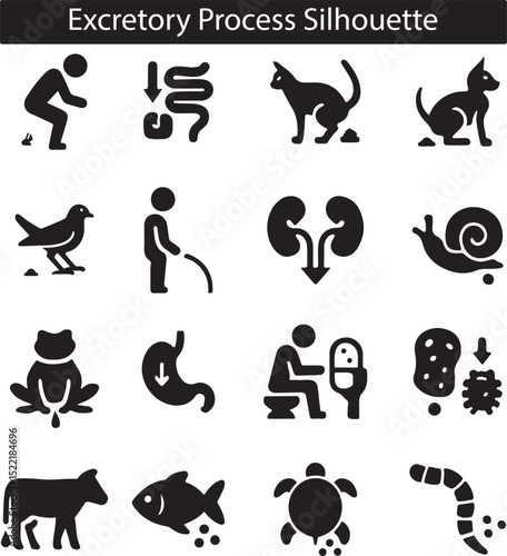 Excretory Process Silhouettes of Animals and Humans