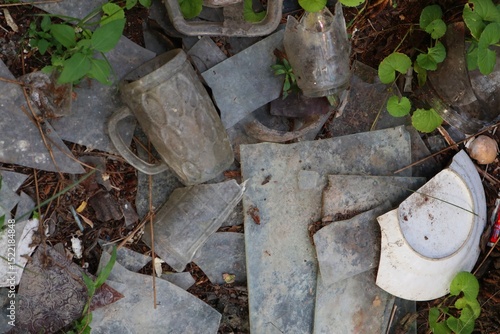 Wallpaper Mural Debris and Emerging Greenery A stark contrast of waste and nature's resilience Torontodigital.ca