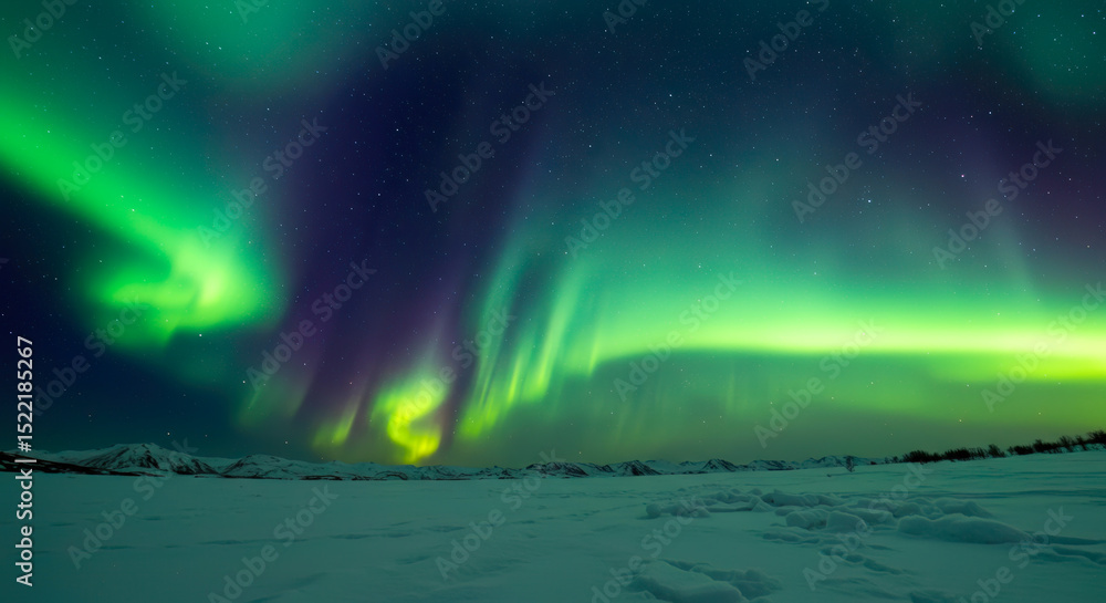 Naklejka premium Majestic Aurora Borealis Display over Snowy Arctic Landscape Breathtaking Night Sky Celestial Phenomenon Winter Wonderland Polar Lights Northern Lights Natural Beauty