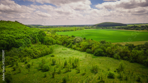 Fotografie aero landscape of a green summer forest