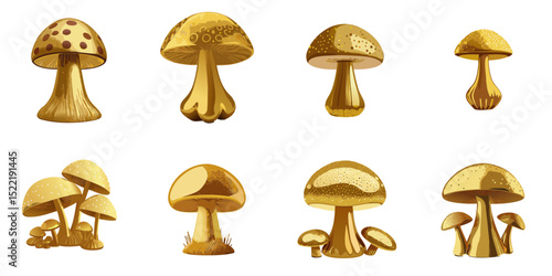 Multiple vector illustrations golden mushroom

