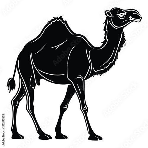 White isolated cartoon camels, wild desert animals with humps, illustrating nature's traveling mammals