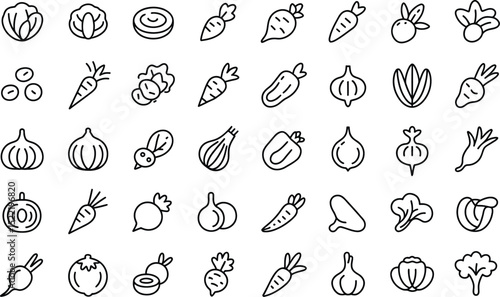 Vegetable icon set line art drawing cabbage carrot onion beet broccoli