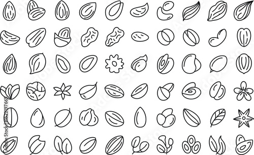 Various nuts seeds and dried fruits doodle style illustration