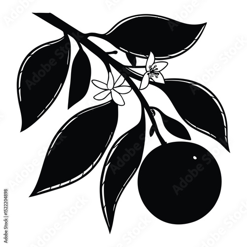 Fresh green olive branches with ripe fruit and leaves, a healthy organic Mediterranean food illustration