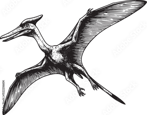 Monochrome Quetzalcoatlus Illustration Detailed Winged Reptile i