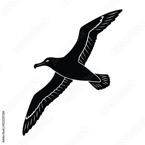 Flying seagull silhouette against the sky