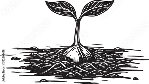 Monochrome Woodcut Illustration of a Sprout Emerging as a Symbol