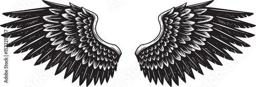 Intricate Valkyrie Wings Woodcut Illustration in Striking Black