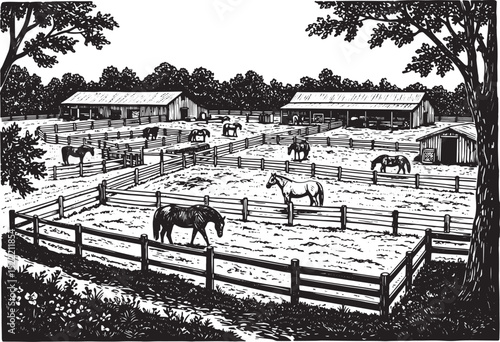 Black and White Woodcut Illustration of a Horse Farm with Horses